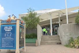 Museums Aquarium Other Attractions Announce Reopening Dates Wway Tv