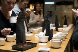 Find & download free graphic resources for coffee cup. Cupping Basics How To Set Up Execute A Great Tasting Experience Royal Coffee