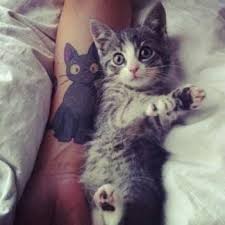 Kedi Sevmeyen Insanlardan Uzak Durmaniz Icin Cok Gecerli Sebepler Kizlarsoruyor