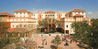 Ringling College About Ringling College College Art Sarasota