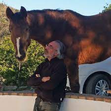 Being Human S For Horses Horsesandhumans Com Blog