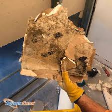 Dampness In Any Home Can Lead To Mold And Mildew Growth And In Addition To Being A Health Hazard Moldy Conditions Have Mold And Mildew Mold Removal Cost Mildew