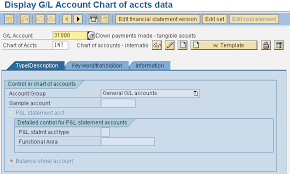 fs00 upgrade issue missing g l account text fields in chart