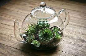 Terrarium De Succulent Dans Une Theiere Comment Faire Un Terrarium Faire Un Terrarium Deco Plantes