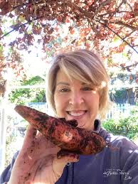 Saturday Meanderings