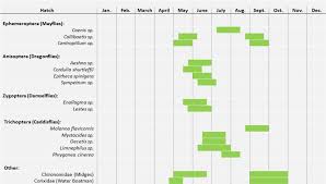 Troutfodder Chain Lake Hatch Chart