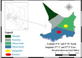 Image result for Pellaea longipilosa