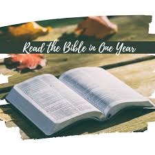 One from the old testament and one from the new testament. Read The Bible In One Year With Beebz And Tin Home Facebook