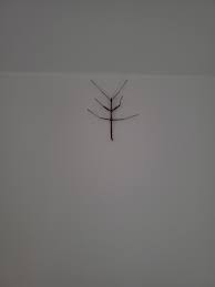 Maybe you would like to learn more about one of these? Https Imgur Com Gallery Hapv3x4 Daily Https Imgur Com Qtxhpu7 Jpg Wolframalpha Polyhedron C Https Polyhedr Com Wolframalpha Polyhedron Html 2020 10 07t18 00 08 313z Https Imgur Com Gallery 3bqxmnt Daily Https Imgur Com V7kchrs Jpg