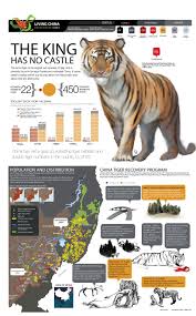 Pin On Wildlife Infographs