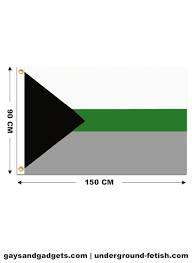It is unknown when the first demiromantic flag was created, but presumably it was created after the aromantic and the demisexual flag was, as it uses the same colors (green of the aro flag) and mirrors the demisexual flag. Demiromantic Pride Flag Printed 90 X 150 Cm Gays Gadgets Amsterdam