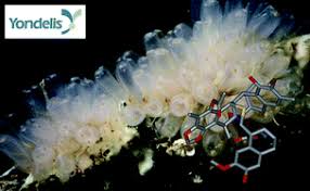 Image result for Trabectedin