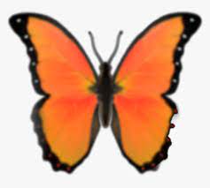 Butterfly png transparent #1465383 (license: Emoji Butterfly Orange Butterflyemoji Orangeemoji Blue Butterfly Emoji Png Transparent Png Kindpng