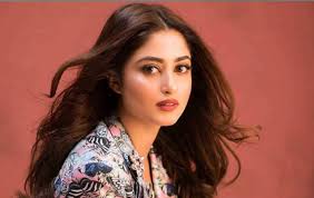 She is also making her debut in kannada with the film rustum. Mahira Khan Tops List Of Highest Paid Pakistani Actresses