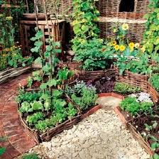 Mon Petit Potager Bio Amenagement Jardin Jardin Potager Jardin Permaculture