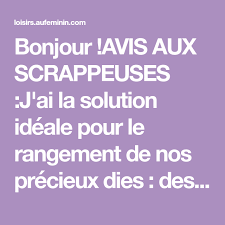 Bonjour Avis Aux Scrappeuses J Ai La Solution Ideale Pour Le Rangement De Nos Precieux Dies Des Pochettes Rangement Pochette Solution