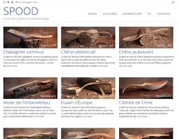 Cosette connaissait le chemin pour l'avoir. Defi 200 Cuilleres En Bois Trouve Par Lex Sur L Air Du Bois