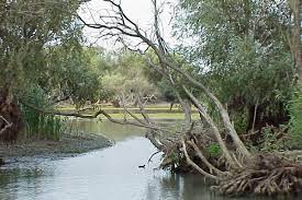 Tarifele afișate sunt minimele în lei pe persoană valabile astăzi. Despre Delta Dunarii Romania Prezentare Imagini Informatii Turistice Si Detalii Despre Statiunea Delta Dunarii