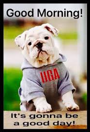 Pin By Renee Bearden On Amazing Bulldog Georgia Bulldogs Football Georgia Dawgs