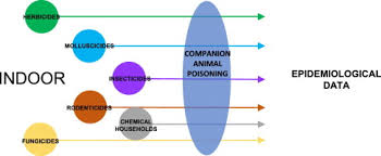 394 likes · 23 talking about this · 100 were here. Indoor Poisoning Of Companion Animals By Chemicals Sciencedirect