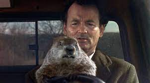 Eaton advises placing a trap right at the. Groundhog Day Movies The New York Times