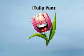 70 Funny Tulip Puns and Jokes to Tickle Your Petals 2024