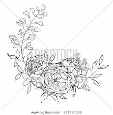 Download Hand Drawing Sketch Vector Photo Free Trial Bigstock