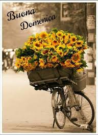 Immagini e messaggi per una buona domenica da condividere su facebook e whatsapp. Belle Immagini Buona Domenica Immaginiwhatsapp It