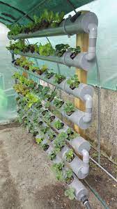 Hydroponic Gardening Hydroponic System Nft Seen From The Set In 2020 Hydroponics Diy Hydroponic Gardening Hydroponic Farming