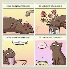 Das Leben Der Katzen Und Ihrer Besitzer Wird Mit 15 Absolut Grossartigen Comics Zusammengefasst Bd Chat A Lustige Susse Katzen Mehrere Katzen Katzen