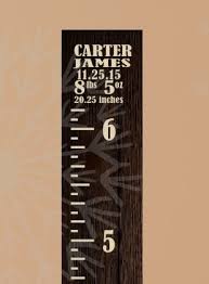 Vintage Height Ruler Baby Infant Stats Wall Growth Chart Vinyl Stickers