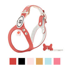 Buddy Belts Classic Dog Harness Red Size 2