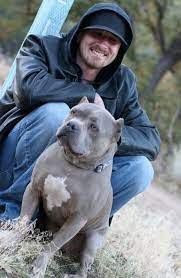 jake and a pitbull pitbulls pitbull rescue villalobos rescue center