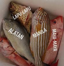 These longline fishing are affordable and available for online consumers. Fresh Seafood Available Man Tabi Ini Facebook
