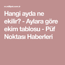 Türkiye'de fidan dikimi ne zaman yapılır? Hangi Ayda Ne Ekilir Aylara Gore Ekim Tablosu Puf Noktasi Haberleri Sebzeler Kentsel Ciftcilik Sebze Bahcesi Tasarimi