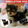 Miniature maltese puppies for sale near me. 1