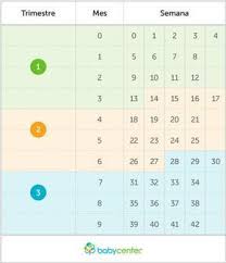 Calculadora Gestacional De Semanas Para Meses Como Calcular Semanas Meses Y Trimestres De Embarazo Embarazo 24 Semanas De Embarazo Embarazo 24 Semanas