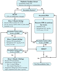 Epidemiology, pathophysiology, treatment and prognostication. 24 Algorithm For Management Of Pediatric Cardiac Arrest Download Scientific Diagram