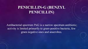 Image result for Extended Spectrum Penicillin