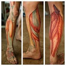 a muscle tattoo is one way to show your inner beauty biomechanical tattoo leg sleeve tattoo leg tattoos