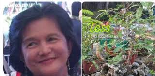 The Value of Friends Friends are like gold dust And precious grains of  sand. To nurture and cherish Lest they slip through your hand. Vivid  memories, tiny clues, Random thoughts which define