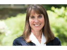 Rep. Laura Fine Running For State Senate