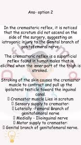 Image result for Cremasteric Reflex