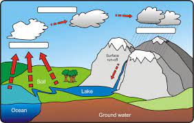 Water Cycle Images Thecelebritypix Klassevaerelse