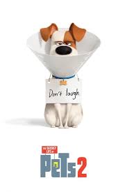 Watch The Secret Life Of Pets 2 Full Movie Online Free 1080p Hd Stream Online The Secret Life Of Pets 2 Wat Secret Life Of Pets Secret Life Full Movies