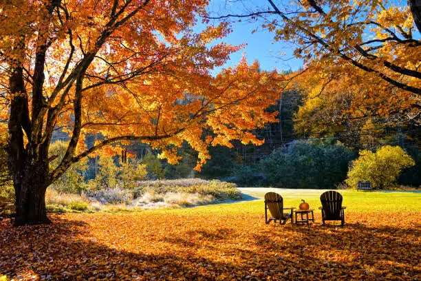 1247 Free CC0 Autumn Stock Photos - StockSnap.io