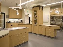 I'll we can say is wow!! Surgery Simi Valley Animal Hospital Hospital Design Hospital Interior Design Veterinary Clinic