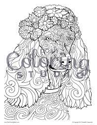 Get crafts, coloring pages, lessons, and more! Pin On Animal Coloring Pages Posh