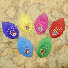 6pcs Peacock Feather Shape Embroidery Sequined Patches Diy Costum Iron On Dress Skirt Clothes Hometextil Women Girls Accessory Clothes Basket Clothes Iceclothes Iron Cleaning Aliexpress Available in png and vector. aliexpress