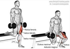 Exercices De Musculation Panosundaki Pin